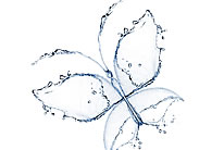 创意水组成的蝴蝶图案高清图片