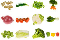 绿色蔬菜图片素材大全