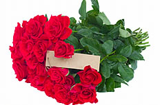 红色玫瑰花束图片素材