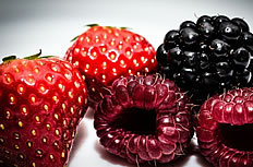 草莓树莓高清图片下载