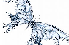 蝴蝶状水花创意图片素材