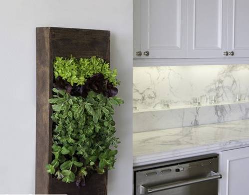 点击大图看下一张：简约厨房背景墙植物设计方案