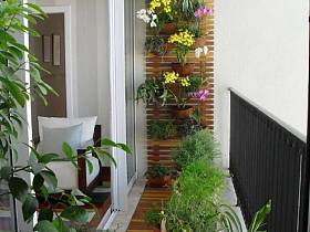 阳台植物装修案例